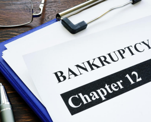 Chapter 12 Bankruptcy: A Lifeline for Family Farmers and Fishermen in Mississippi