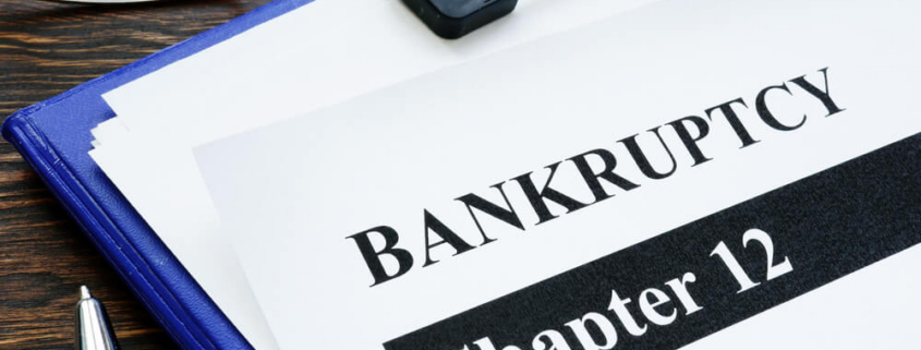 Chapter 12 Bankruptcy: A Lifeline for Family Farmers and Fishermen in Mississippi